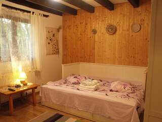 Гостевой дом Casuta din Lunca Половраджи Двухместный номер с 1 кроватью и собственной ванной комнатой-7