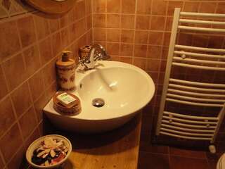 Гостевой дом Casuta din Lunca Половраджи Двухместный номер с 1 кроватью и собственной ванной комнатой-6